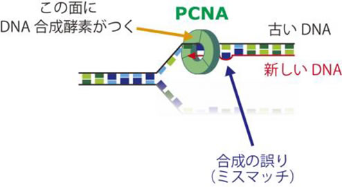 research20160707