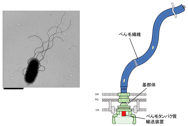 research20160315