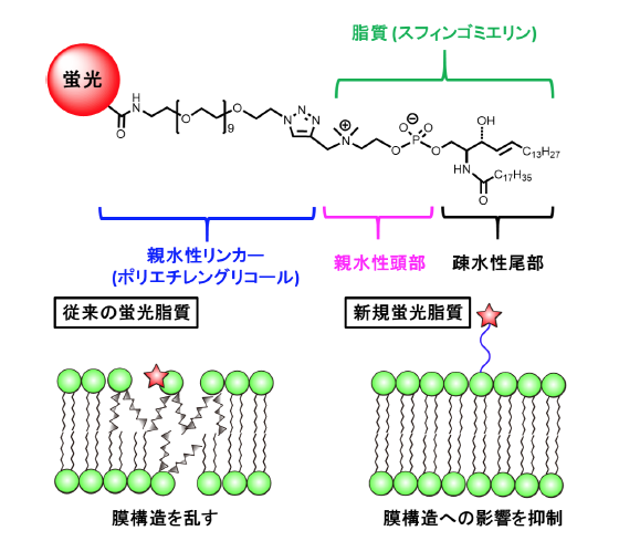 research20170323